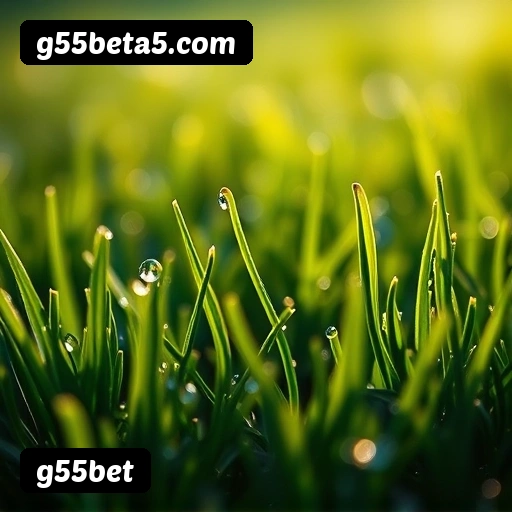 Tabela RTP dos jogos de cassino da g55bet